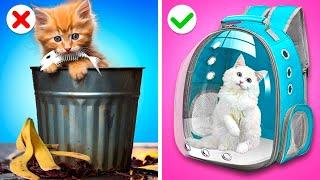Ayah vs Ayah Tiri – Kami Membangun Rumah Mini untuk Si Anak Kucing! Kiat dari Gotcha! Viral