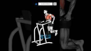 Top Exercises️️#shorts #short #workout #fitness #exercise #gym #trending #viral #ytshorts