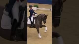 Push up  Valegro Edit #fjordigang #dressage #equestrian #horse #horseedit #horsejumping #edit