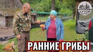 РАННИЕ ГРИБЫ. ЧТО МЫ НАШЛИ В ЛЕСУ В НАЧАЛЕ СЕЗОНА? КАК МЫ ВЫРАЩИВАЕМ КОРМ ДЛЯ СВИНЕЙ И КРОЛИКОВ.