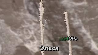 ОЛЕСЯ на флешку