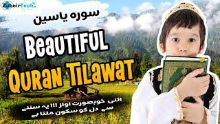 Surah Yaseen beautiful Quran tilawat || Zubair tech