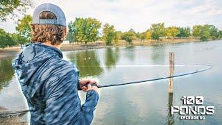 Fishing A Small Town Park Pond For Bass! (100 Ponds Ep. 50)