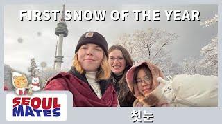 Snow Vlog | First Snow in Seoul | Hiking up Namsan | 서울 첫눈 | 남산 등산