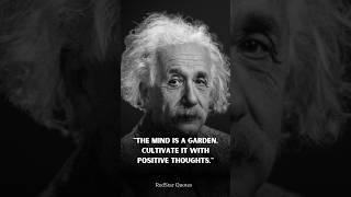 You can Understand | Albert Einstein | RedStar Quotes