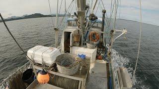 It's Called Fishing, Not Catching! | Alaska Halibut Longlining