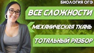 ОГЭ Биология 2022 | Молниеносная подготовка по теме: Механическая ткань
