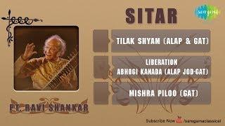 Pandit Ravi Shankar Monument of Strings | Hindustani Classical Audio Jukebox | Sitar