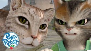 @OfficialPeterRabbit - Adventures With Mittens & Mr Mcgregor's Cat   | Cat Day | Cartoons for Kids