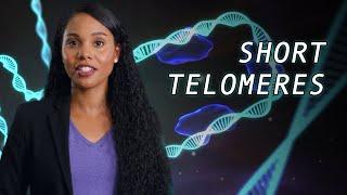 Telomere Biology Disorders explained