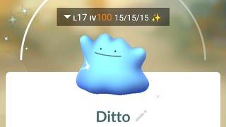 Shundo Ditto Pgsharp Pokemon Go 100 iv ShinyDitto