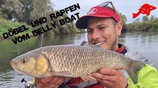 Rapfen und Döbel vom Belly Boat