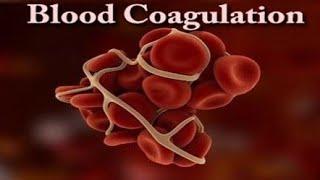 Blood Clotting in Animation ll Coagulation of Blood 🩸🩸 ll Animation Video 🩸🩸