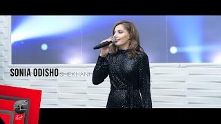 Sonia Odisho - Shekhani | Official Video