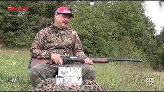 Wood pigeon hunting with Baschieri & Pellagri shotshells