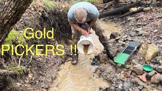 Finding more GOLD PICKERS!!!