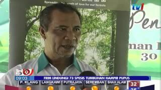 FRIM LINDUNGI 73 SPESIS TUMBUHAN HAMPIR PUPUS [31 MEI 2015]