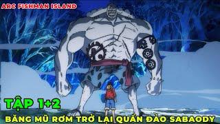 REVIEW ONE PIECE l BĂNG MŨ RƠM HÀNG THẬT ĐỤNG ĐỘ HÀNG FAKE I REVIEW ARC ĐẢO NGƯỜI CÁ TẬP 1+2