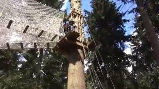 Weekend vlogs+go ape||| lottievlogs/pt2