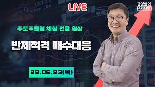 6월 23일 (목) - 반제적격 매수대응