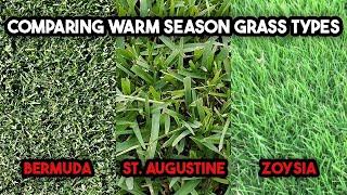 Brief Comparison of Warm Season Grass Types | Bermudagrass | St. Augustine | Zoysia