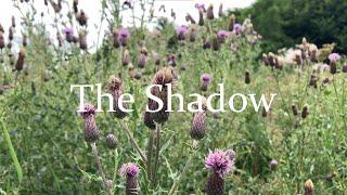 The Shadow - A Short Horror Film