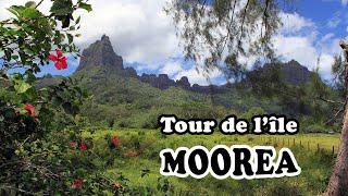 MOOREA Tour de l'île