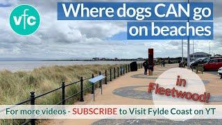 Esplanade Walk and Where Dogs can go on Beaches in Fleetwood