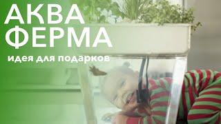 Идея для подарков – АКВАФЕРМА!