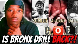 Is Bronx Drill FINALLY BACK?! COE CYPHER ( SHA EK X B-LOVEE X COE WIKI X 150 WIZ X 150 BUMP)