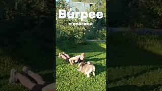 БЕРПИ С СОБАКОЙ СОБИРАЮ СПОРТСМЕНОВ 320/1000 #motivation #спорт #edit #топ #burpees #берпи