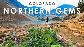 MOOSE & SAND DUNES?! | Hidden Gems of Northern Colorado