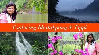 Bhalukpong-Tippi Trip | Orchid Research Centre | Arunachal Pradesh | Northeast India