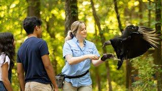 Reach new heights at the Carolina Raptor Center