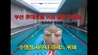 부산롯데호텔 수영장 사우나 라세느 뷔페 객실 꿀팁 후기