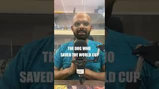 The Dog  who saved the 1966 FIFA World Cup | Drog BABA #shorts