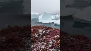 Only an hour before shooting this time-lapse video inScoresby Soundon the eastern coast of Greenland