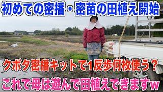 【密苗田植え開始】密播キットで母がめちゃくちゃ楽できます！1反歩何枚かかるか確認しました 30代米作り奮闘記#199