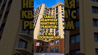 Самая недорогая квартира с ремонтом в ЖК сосновый бор