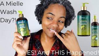 Chile, I Tried MIELLE On My Hair...in 2024?!!! : My Raw, Honest Experience