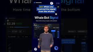 GET SIGNALS FROM WHALERADAR FOR FREE