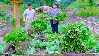 Flooding Rain! The obsession when the farm is destroyed | Harvesting VEGETABLES for sale Aquaculture