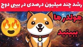 رشد چند میلیون درصدی در انتظار بیبی دوج طبق گفته ی… | اخبار عالی و مثبت بیبی دوج کوین