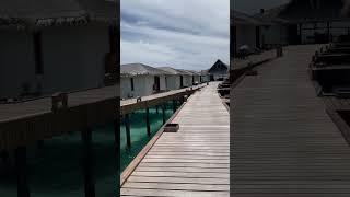 Best Maldives Resorts (Ultimate List) | Tropikaia. Here's the ultimate list of the best Maldives