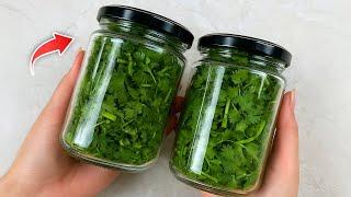 How To Store Cilantro For 1 Year Without Spoilage