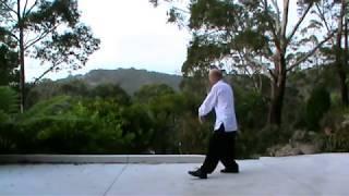 Wu Style Tai Chi 108 Movements Complete