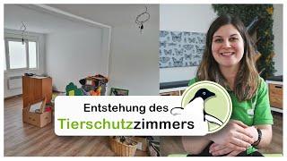 Making of: Entstehung des aktion tier Tierschutzzimmers Zossen