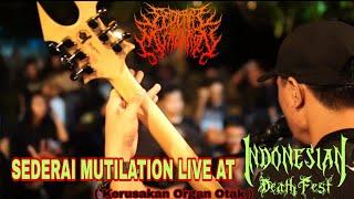 Sederai Mutilation - Kerusakan Organ otak (Live At Indonesian Death Fest Chapter Balikpapan)