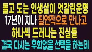 실화사연 - 돌고도는 인생살이 엇갈린운명 17년이 지나 필연적으로 만나고 하나씩 드러나는 진실들 결국 다시는 후회없을 선택을 하는데..라디오드라마 사연읽어주는남자 442사연