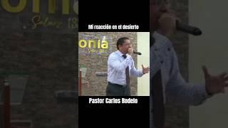 Mi reacción en el desierto  Pastor Carlos Rodelo #fe #desierto #reflexiones